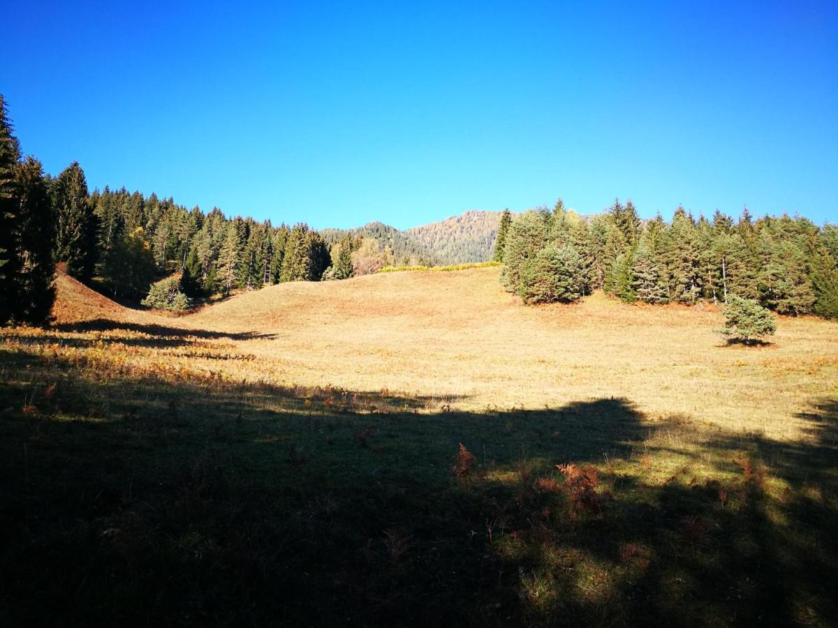 Appartamento Alie Gusta Hermagor-Pressegger See Esterno foto