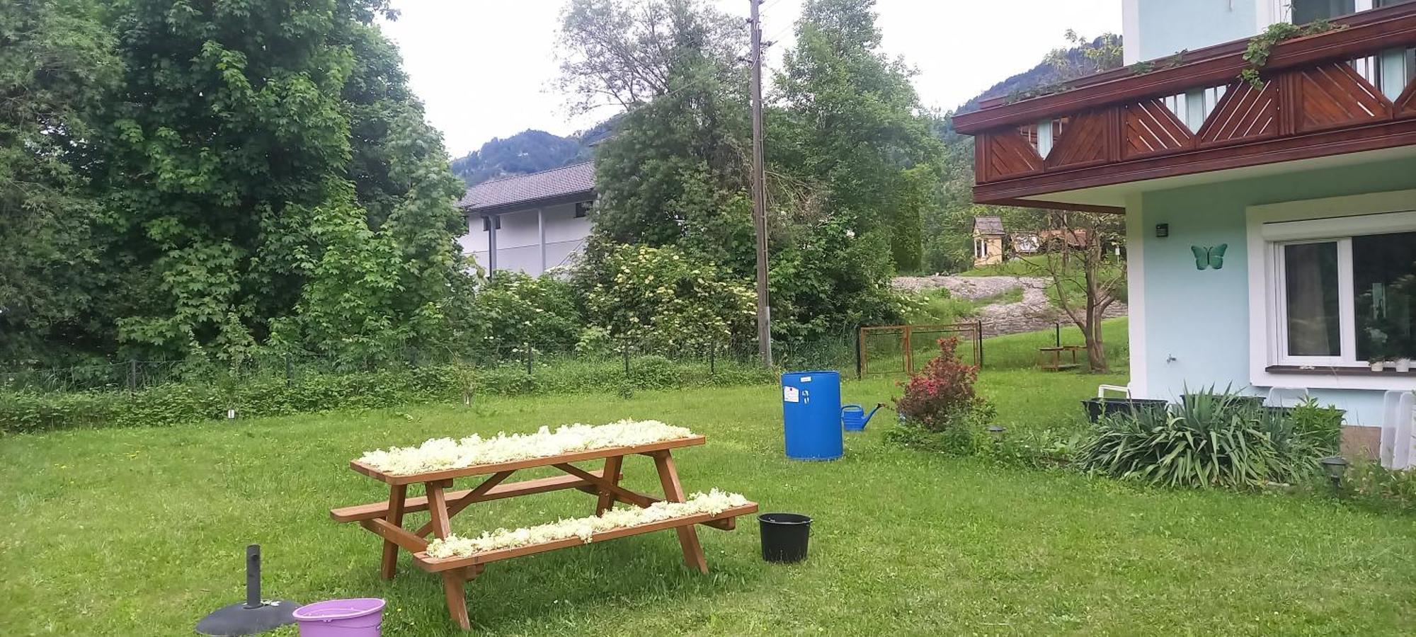 Appartamento Alie Gusta Hermagor-Pressegger See Esterno foto
